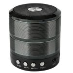 اسپیکر قابل حمل WS-887