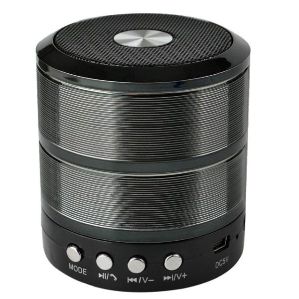 اسپیکر قابل حمل WS-887