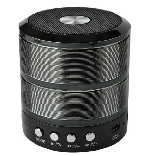 اسپیکر قابل حمل WS-887