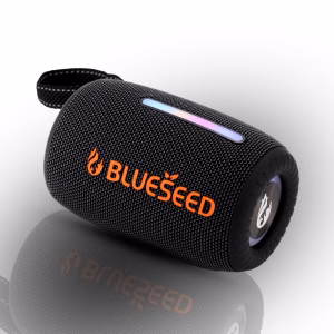 اسپیکر بلوتوثی قابل حمل BLUESEED BS-301 RGB